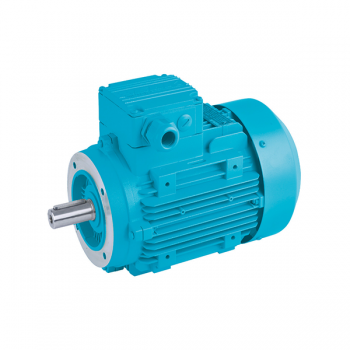 Exproof Motor Nedir?